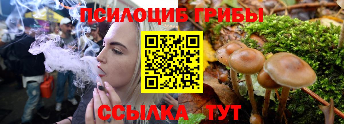 Псилоцибиновые грибы прущие грибы  Вход с VPN  Уварово 